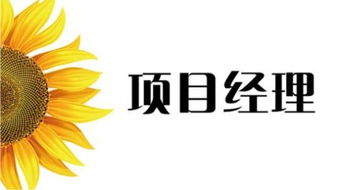 從IVD試驗(yàn)員到項(xiàng)目經(jīng)理 技術(shù)轉(zhuǎn)讓的流程與管理要點(diǎn)